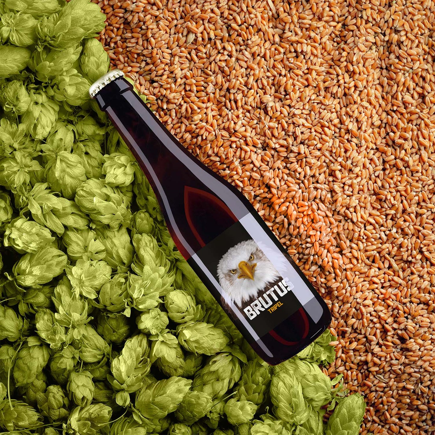 Brutus Bier - Tripel (6 flesjes)